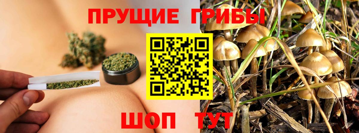 Галлюциногенные грибы Psilocybe  Вход с VPN  Арзамас 
